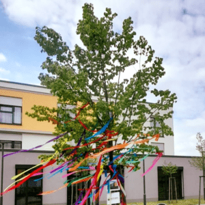 Maibaum 2022